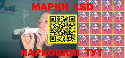 гашик Берёзовский