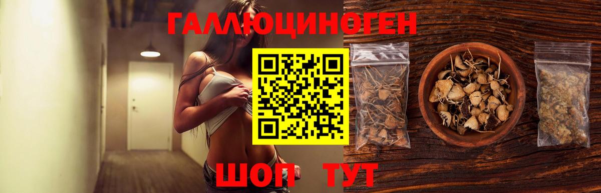 Псилоцибиновые грибы Psilocybe Вязьма